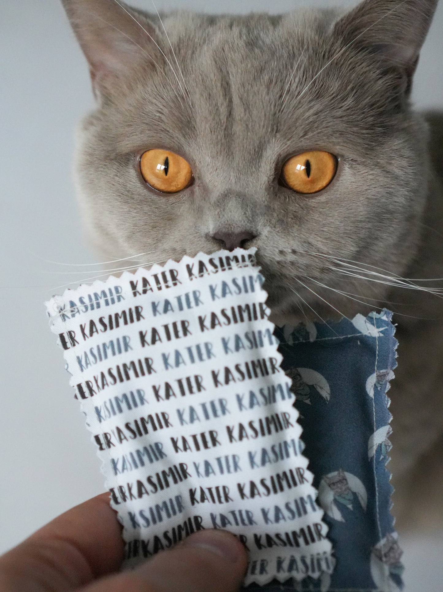 2 Katzenminze Kissen aus BIO-Baumwolle