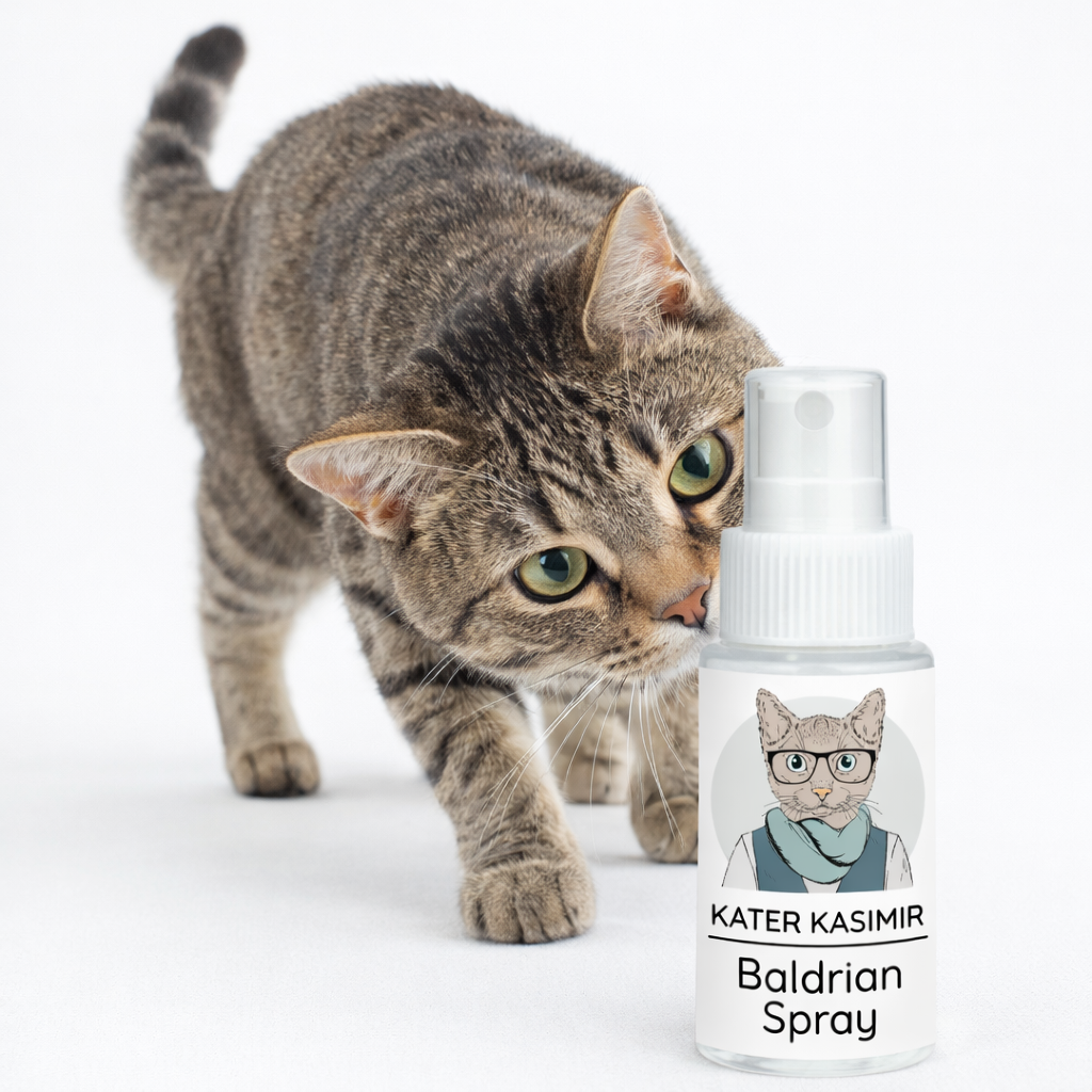 Mausbert mit BIO-Katzenminze + Catnip-Spray (30ml)