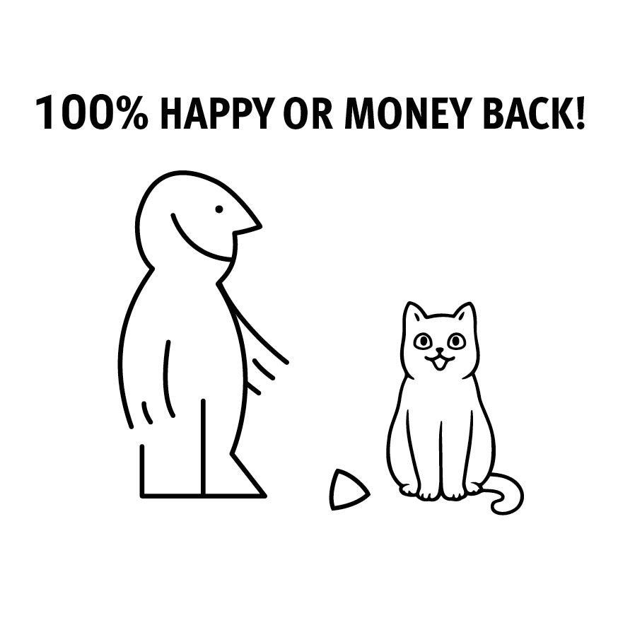 2 BIO-Katzenminze Kissen