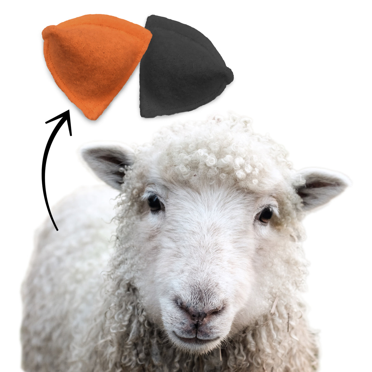 2 Katzenkissen (Halloween-Edition)