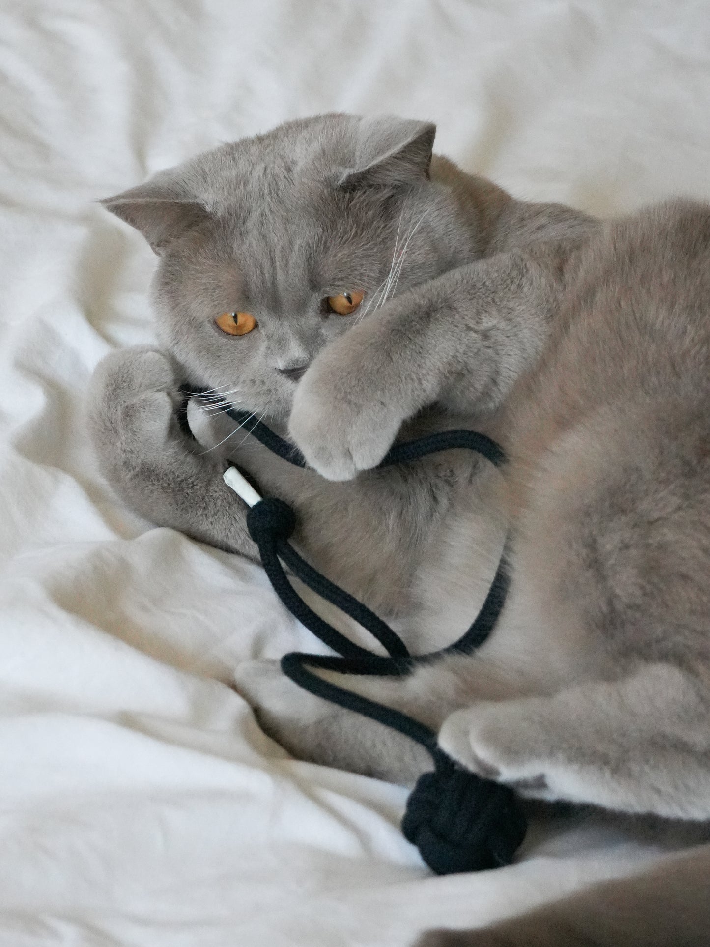 2 gefüllte Affenfäuste aus Baumwolle (Katzenminze, Matatabi-Frucht)