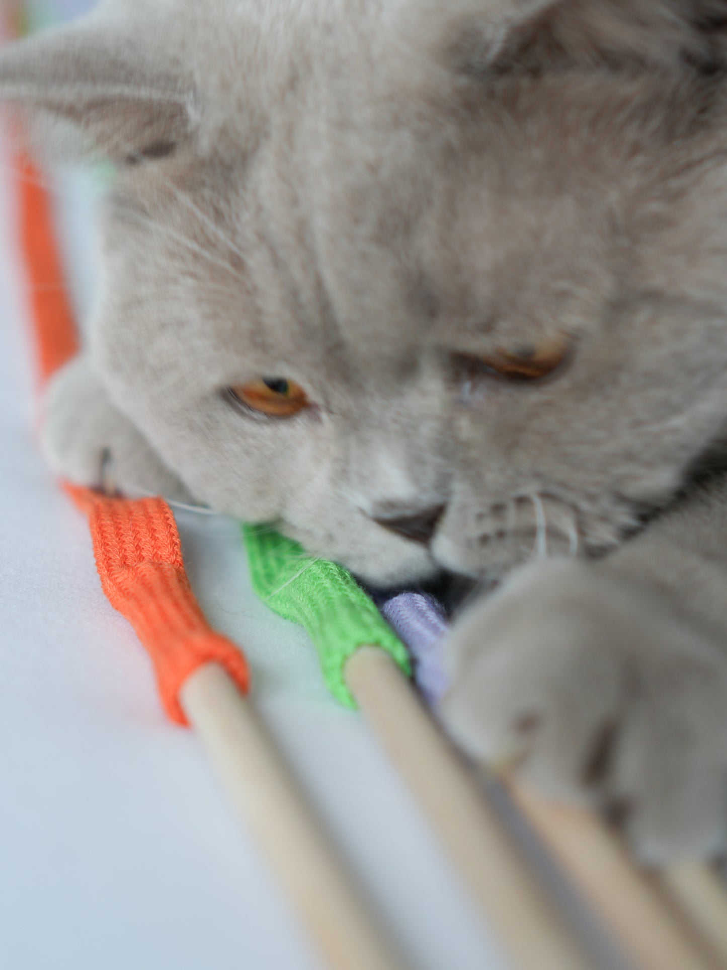 Rangelangel (orange)