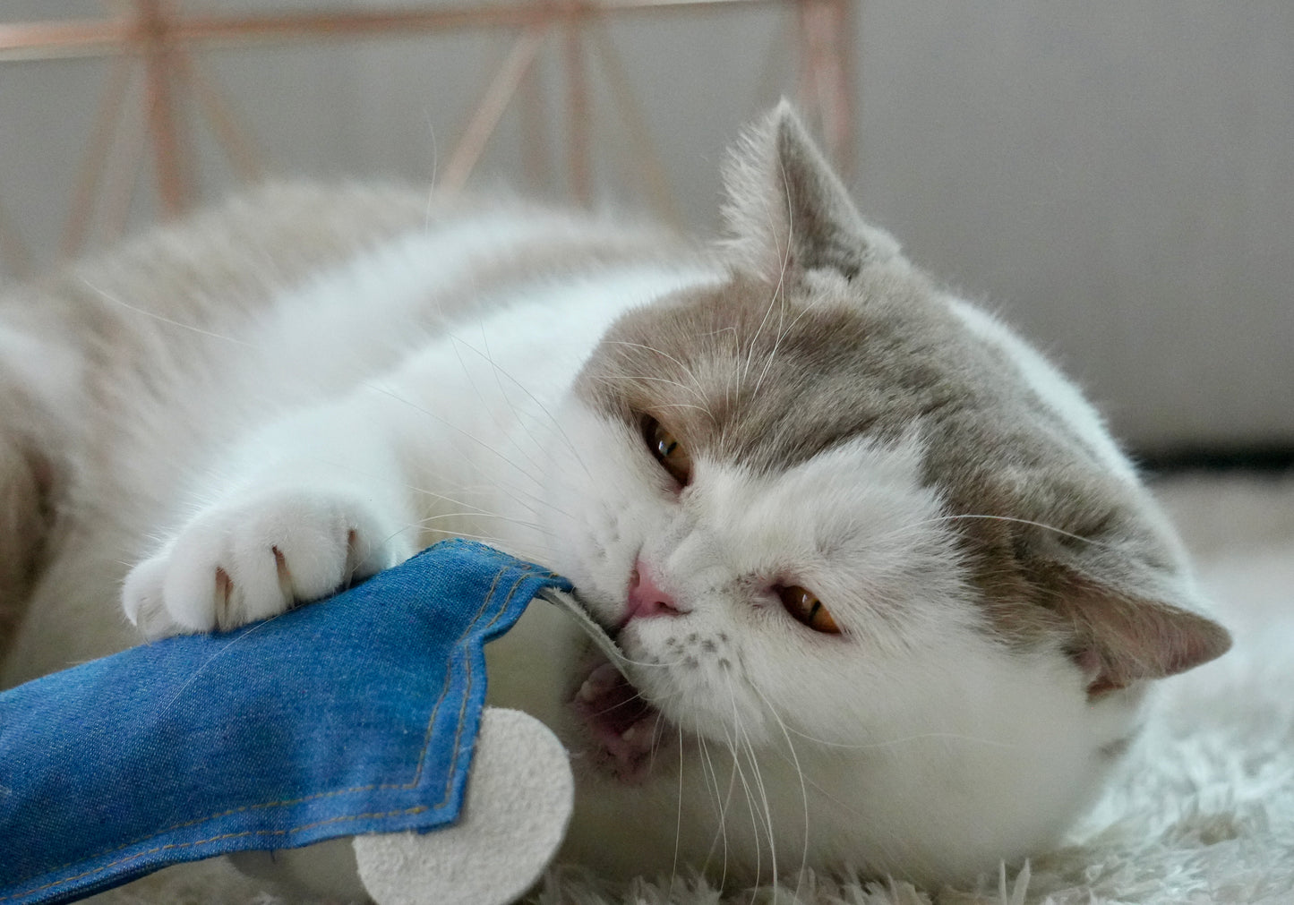 Maus-Jürgen mit BIO-Baldrian