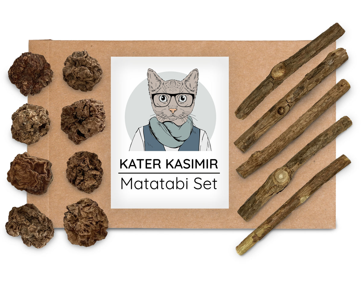 Matatabi Set (Sticks und Früchte)