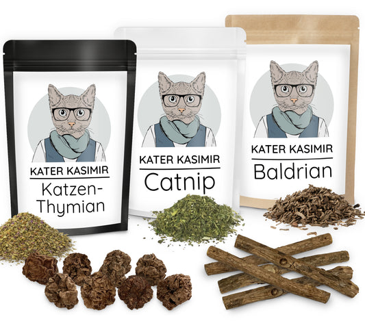 Herbstliche Katzenkräuter im 5er Set