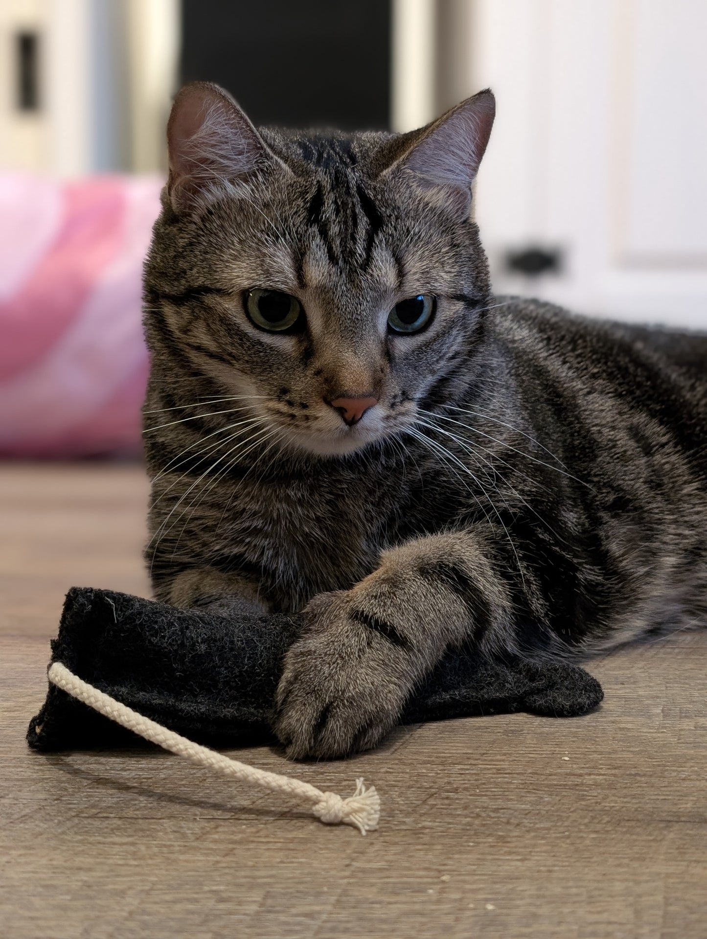 Mäuserich 4er Set (nur 10,95 EUR je Maus)