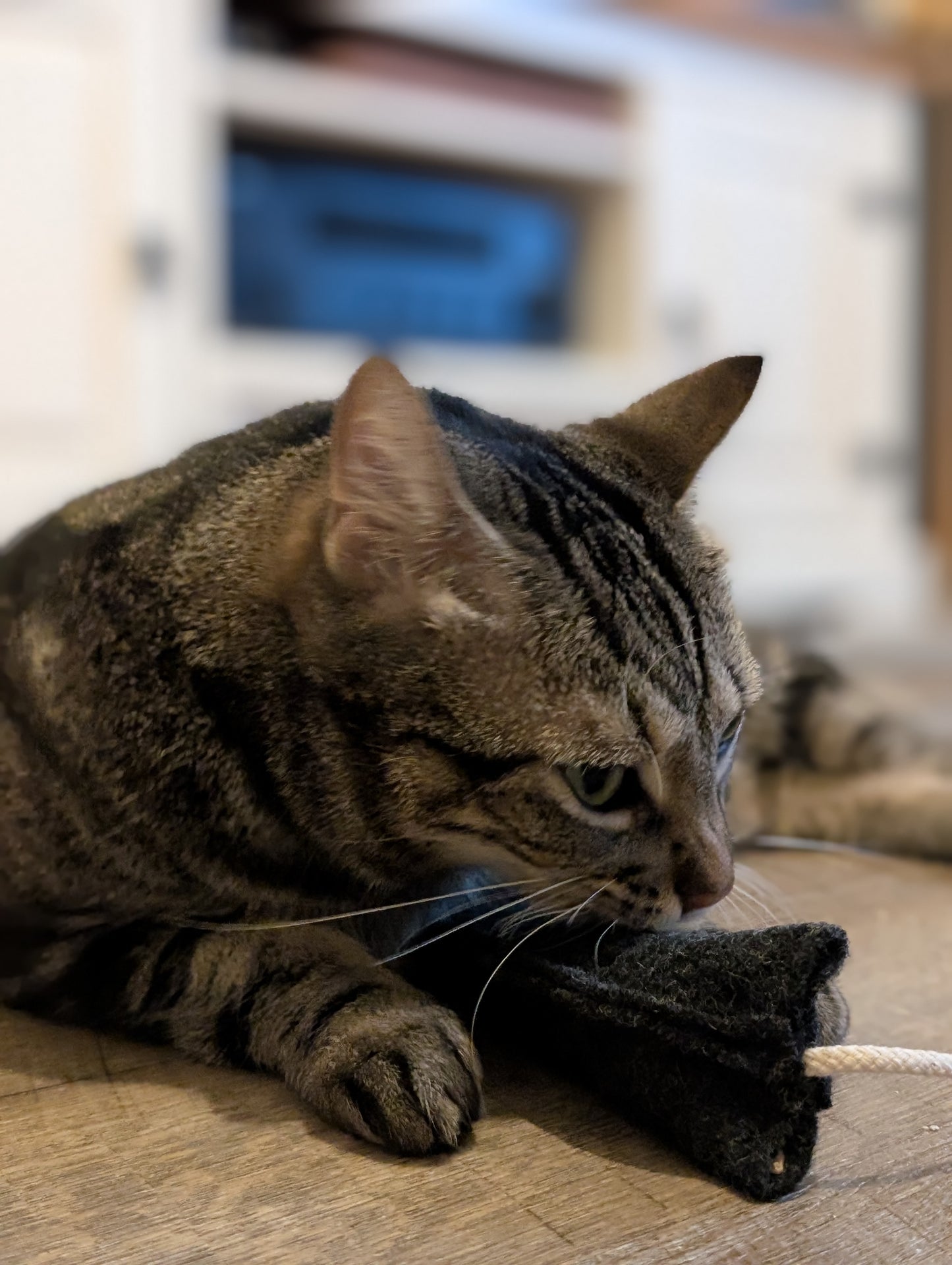 Mäuserich Deluxe (mit 3 Füllstoffen)