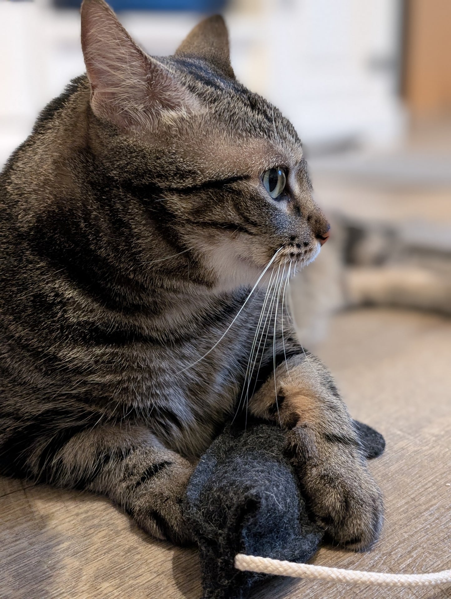 Mäuserich Deluxe (mit 3 Füllstoffen)