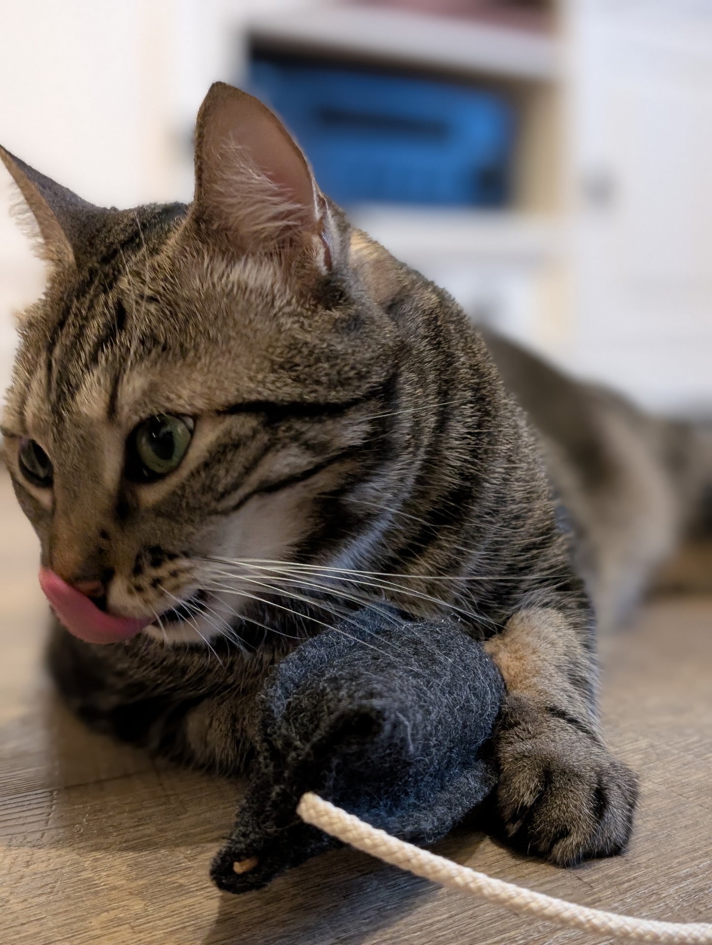 Mäuserich Deluxe (mit 3 Füllstoffen)