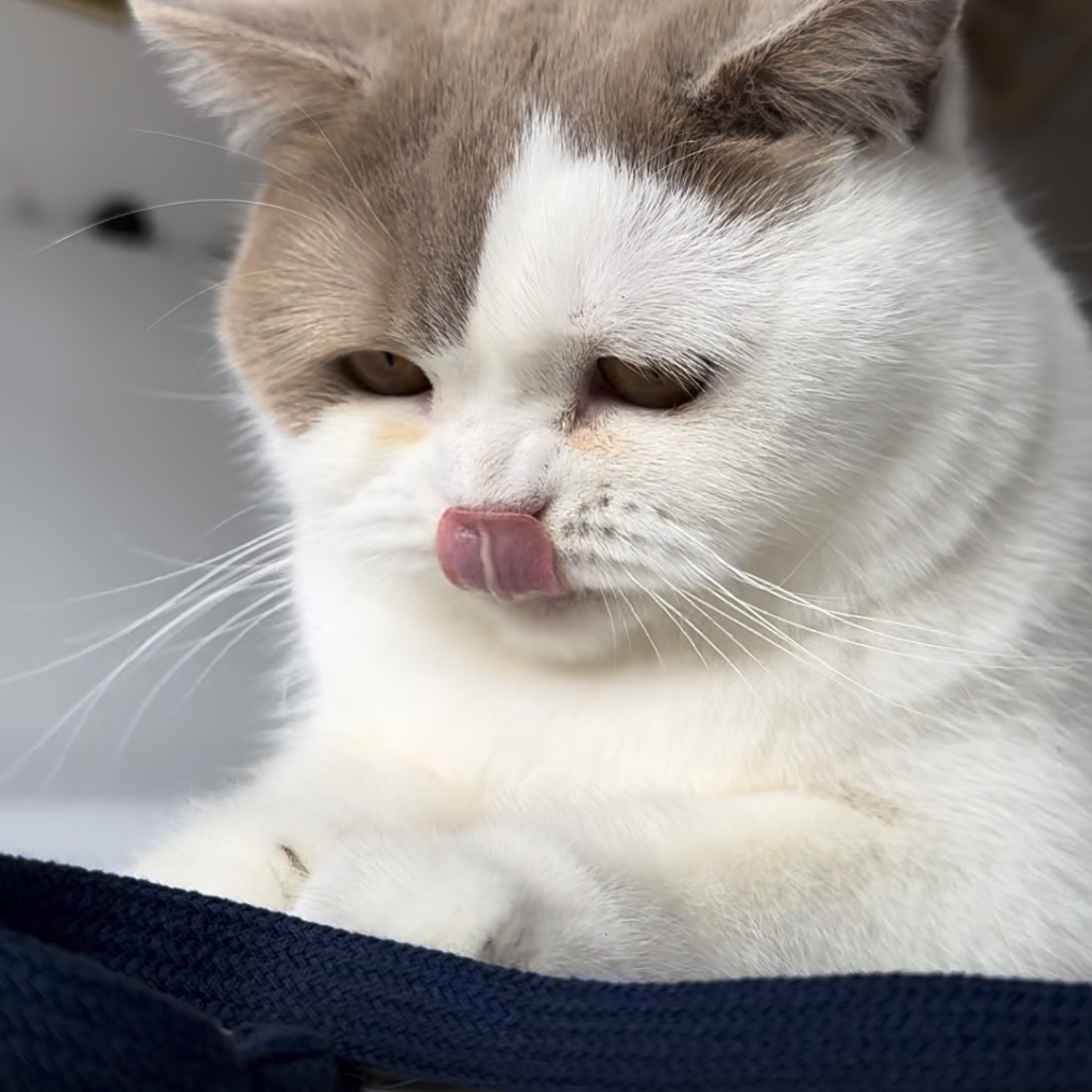 Rangelangel (dunkelblau)