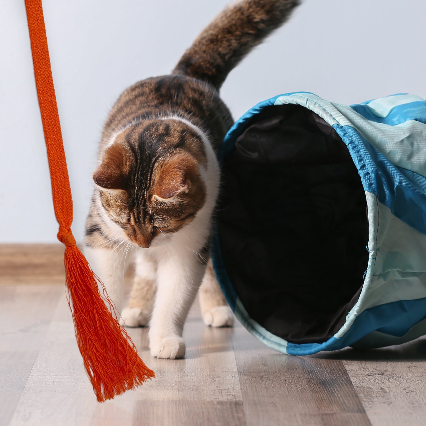 Rangelangel (orange)